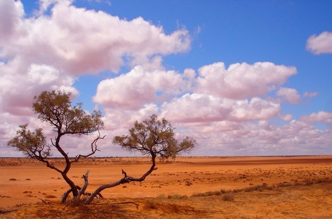 Пустыня Симпсон в Австралии