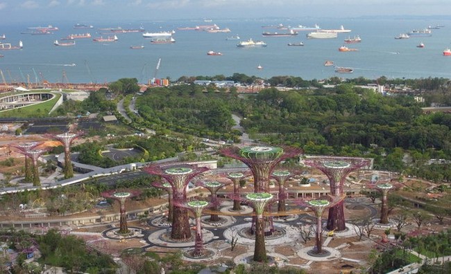 Сады у залива Сингапур
