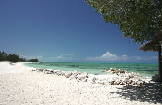 Багамские острова - Андрос 