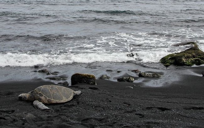 Черный пляж Вик в Исландии