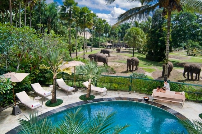 Парк Слонов на Бали