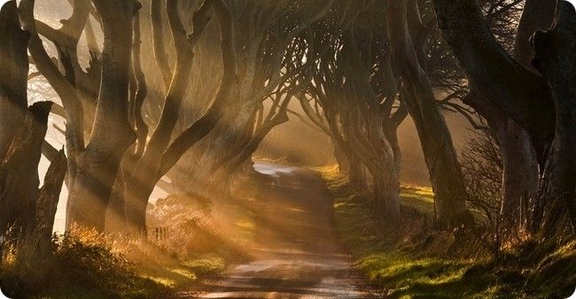 Мистическая Темная аллея в Ирландии