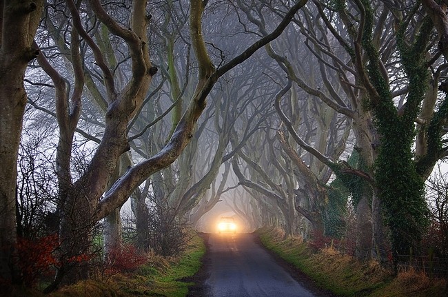 Мистическая Темная аллея в Ирландии