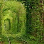 Романтический  «Тоннель любви»