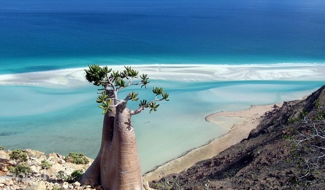 Фантастический пейзаж острова Сокотра