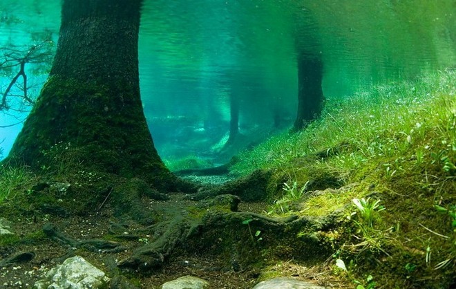 Зеленое озеро в Австрии 