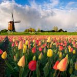 Интересные факты о Нидерландах